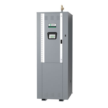 AO Smith Water Heater&nbsp;DVE1250A-195&nbsp;Parts